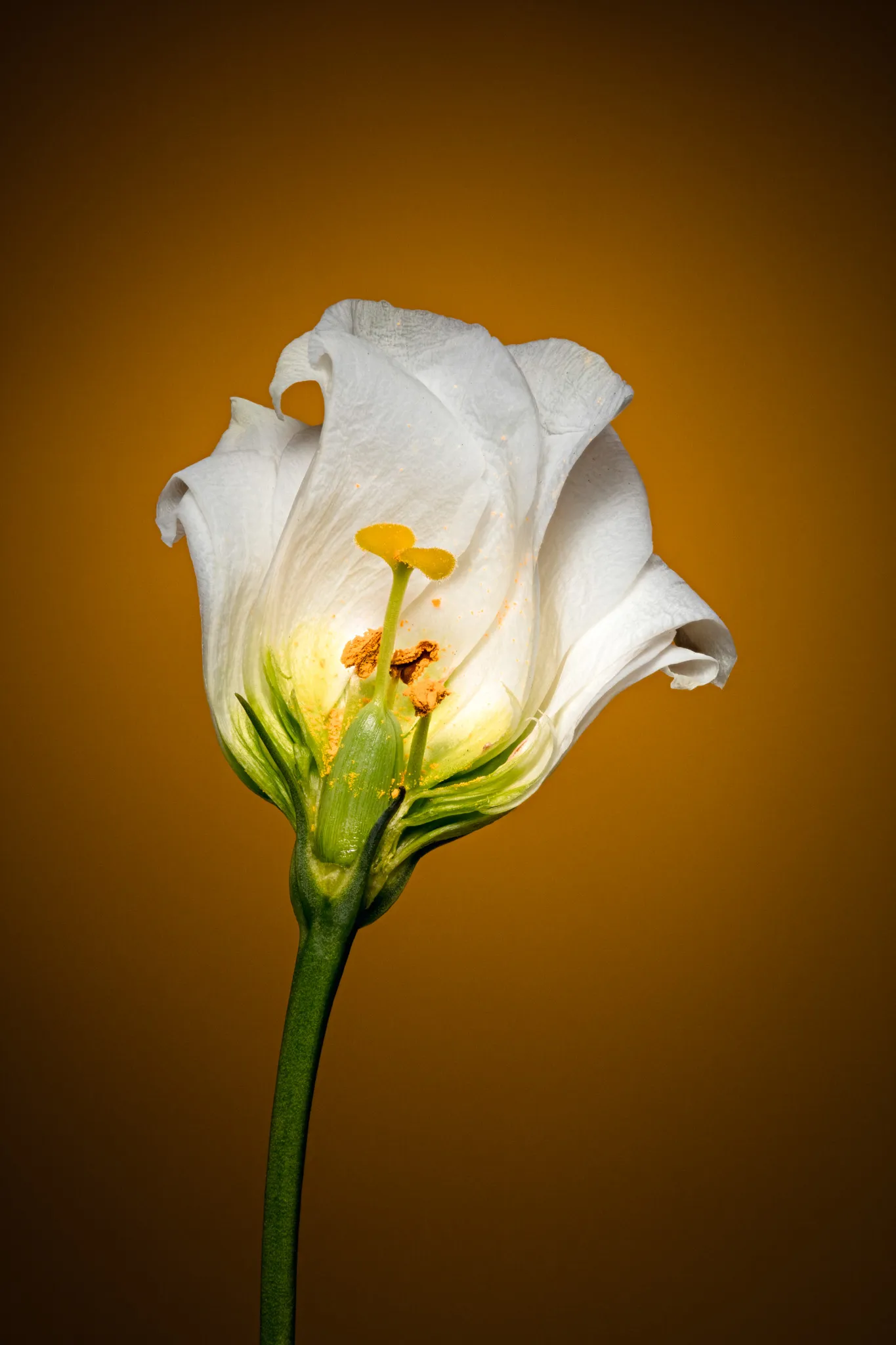 feed — Foto von Augustin Anders