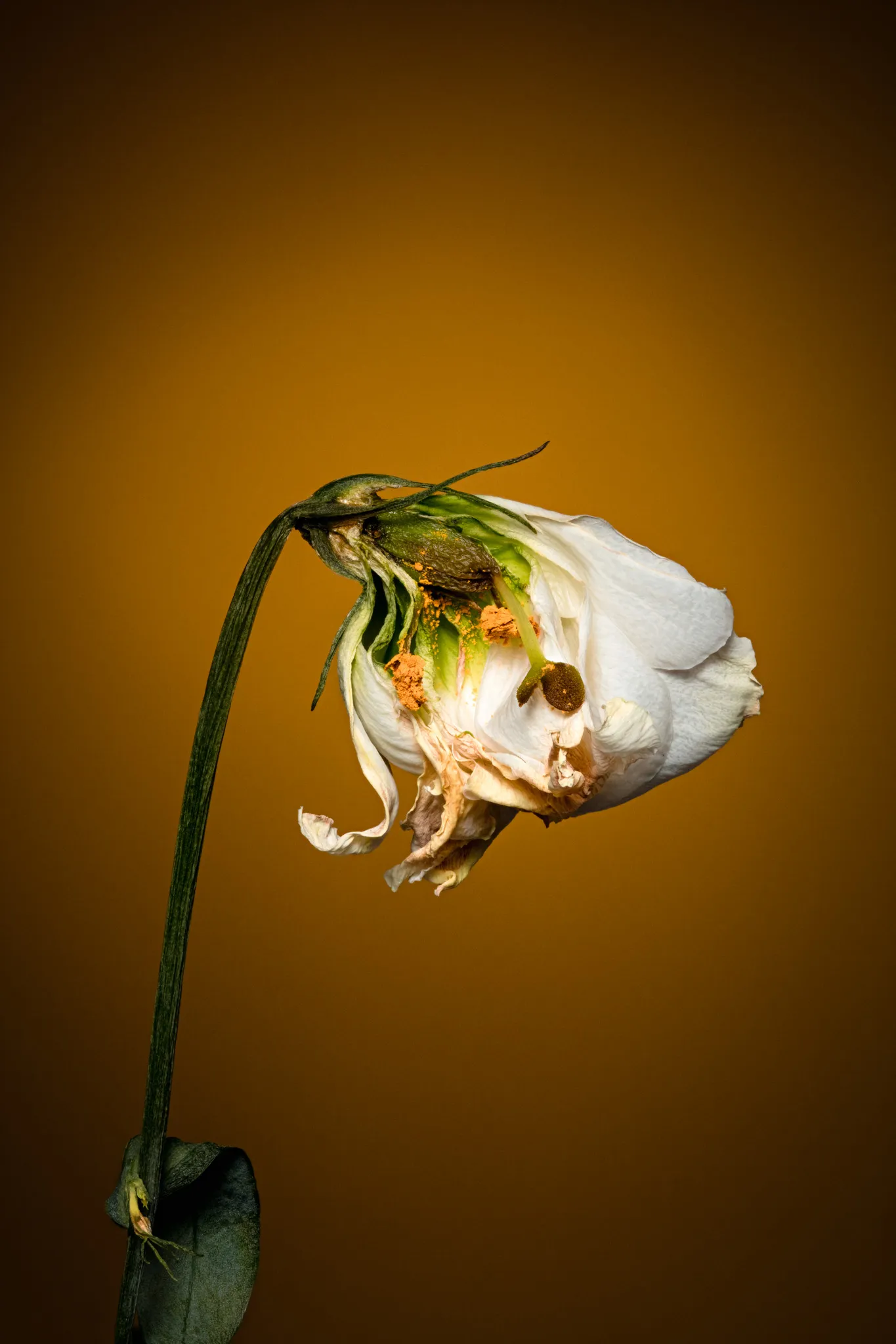 feed — Foto von Augustin Anders