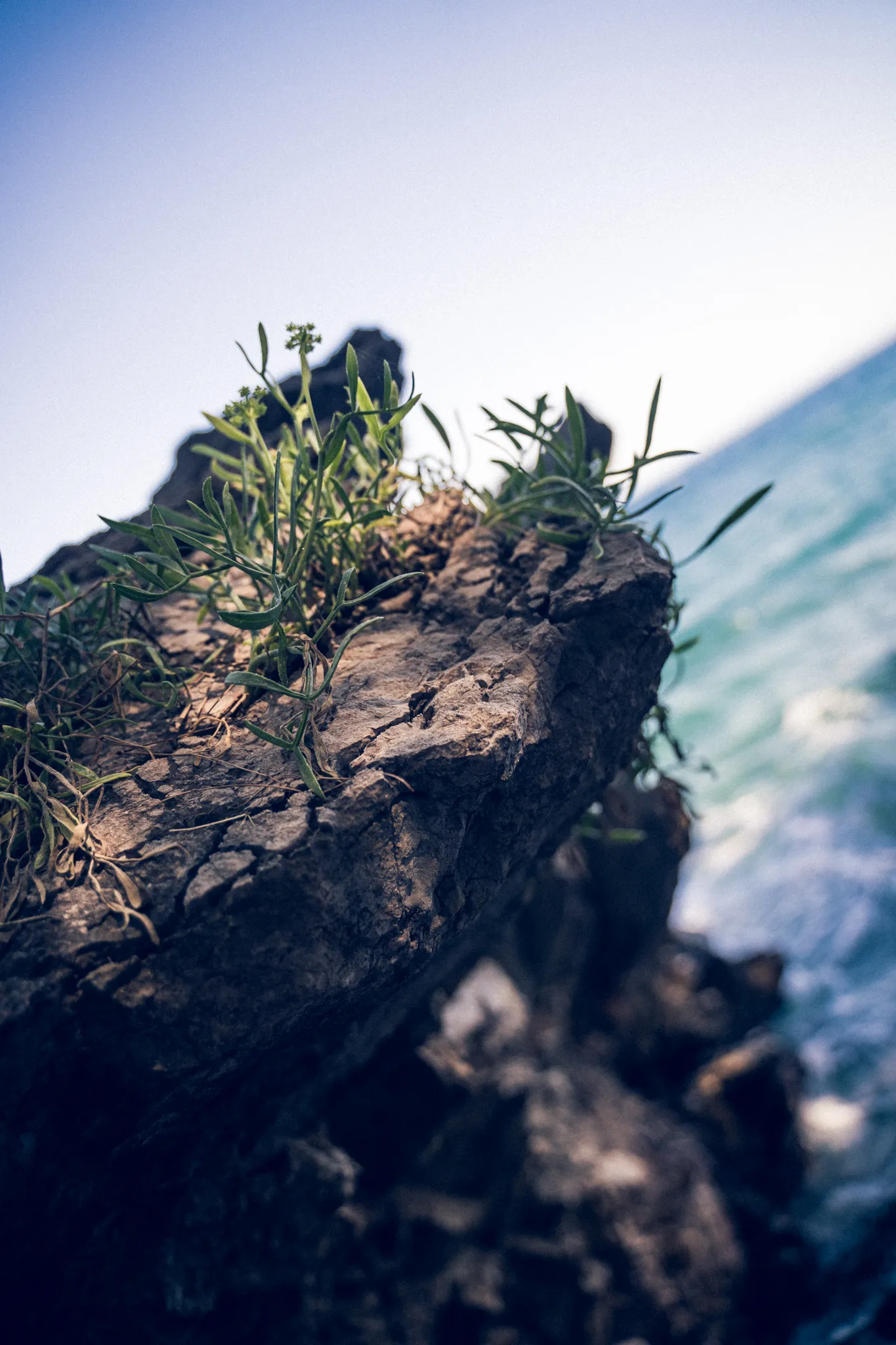feed — Foto von Augustin Anders