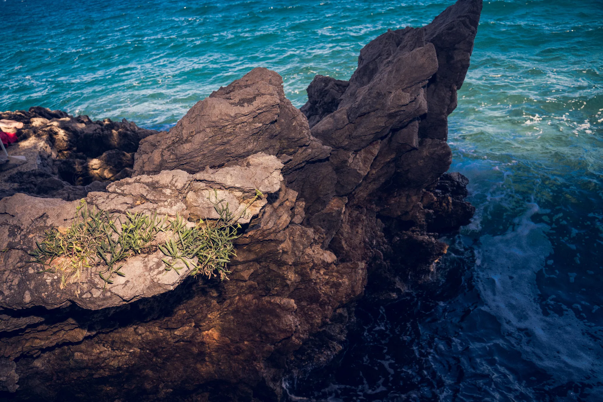 feed — Foto von Augustin Anders