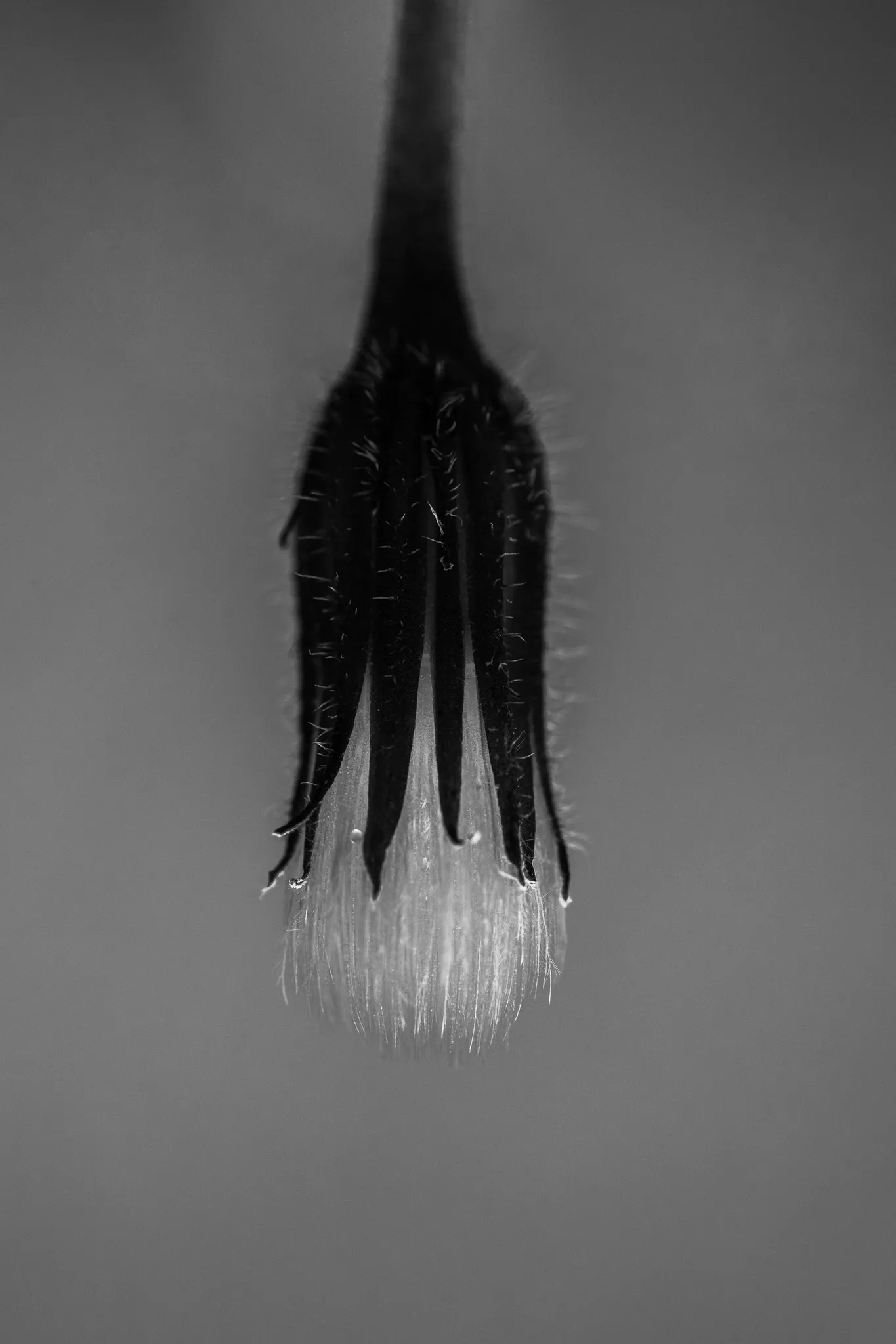 feed — Foto von Augustin Anders
