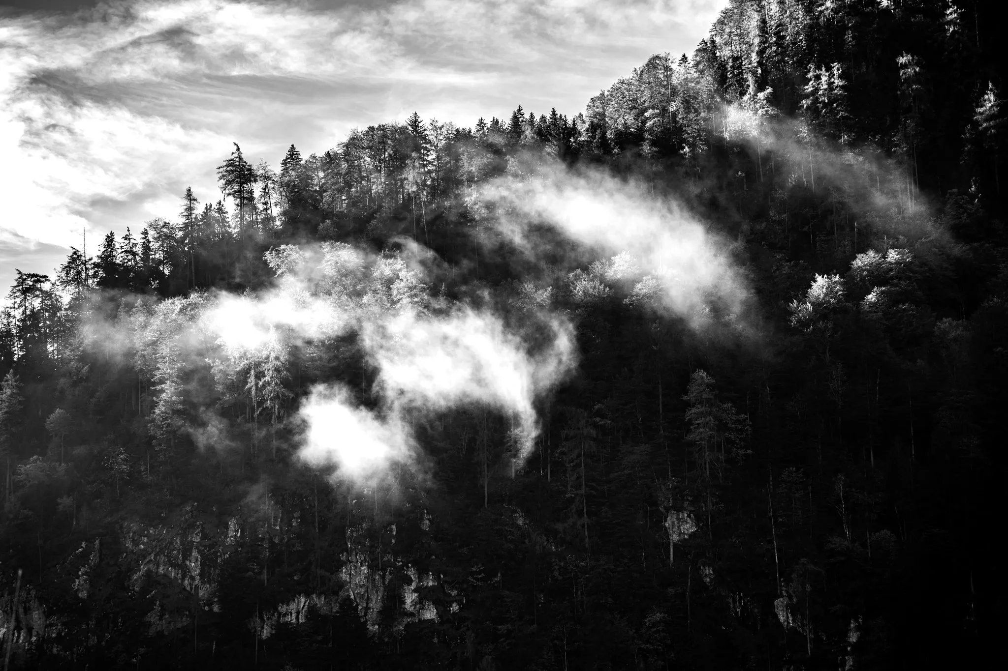 feed — Foto von Augustin Anders