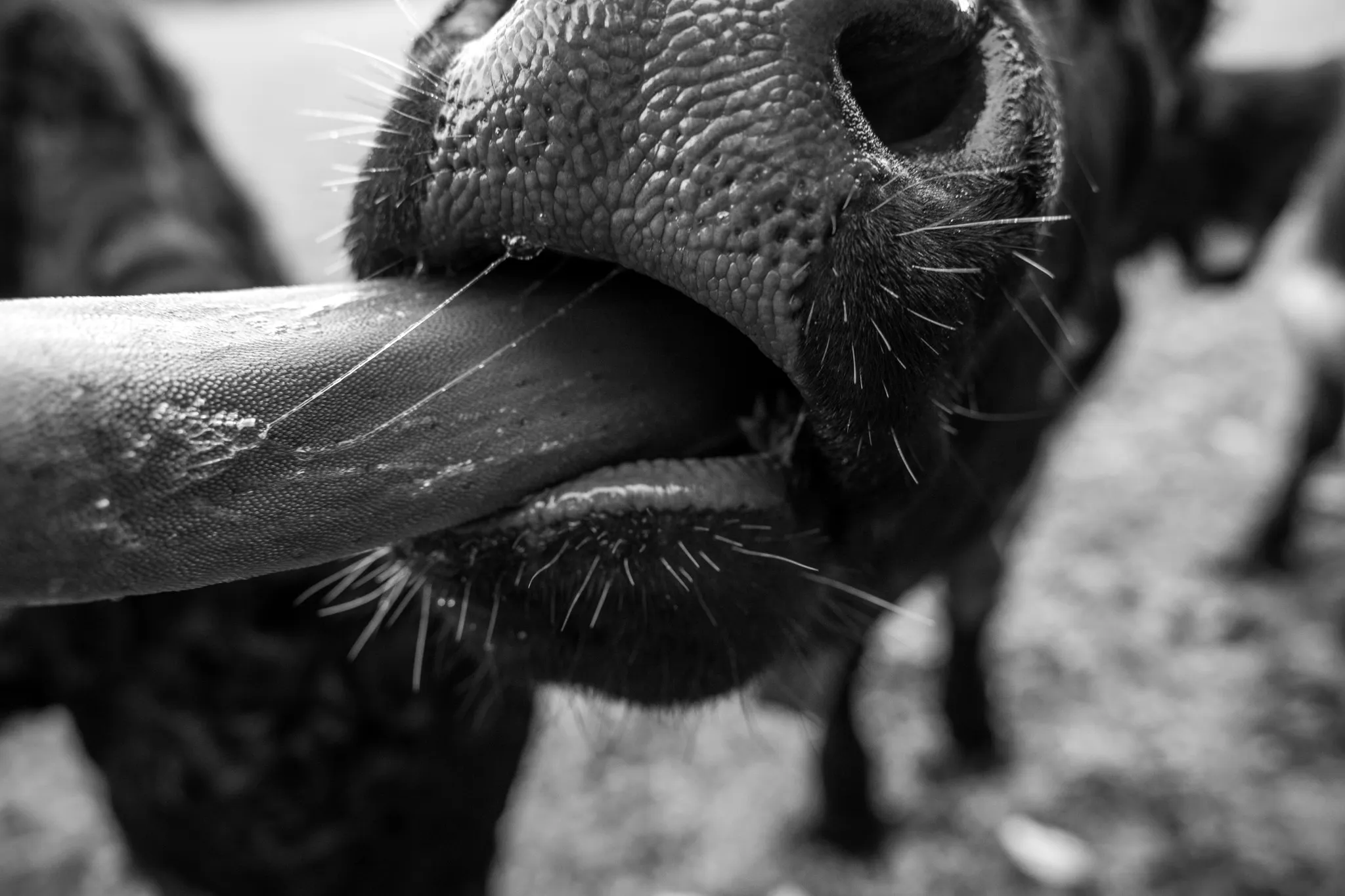 feed — Foto von Augustin Anders