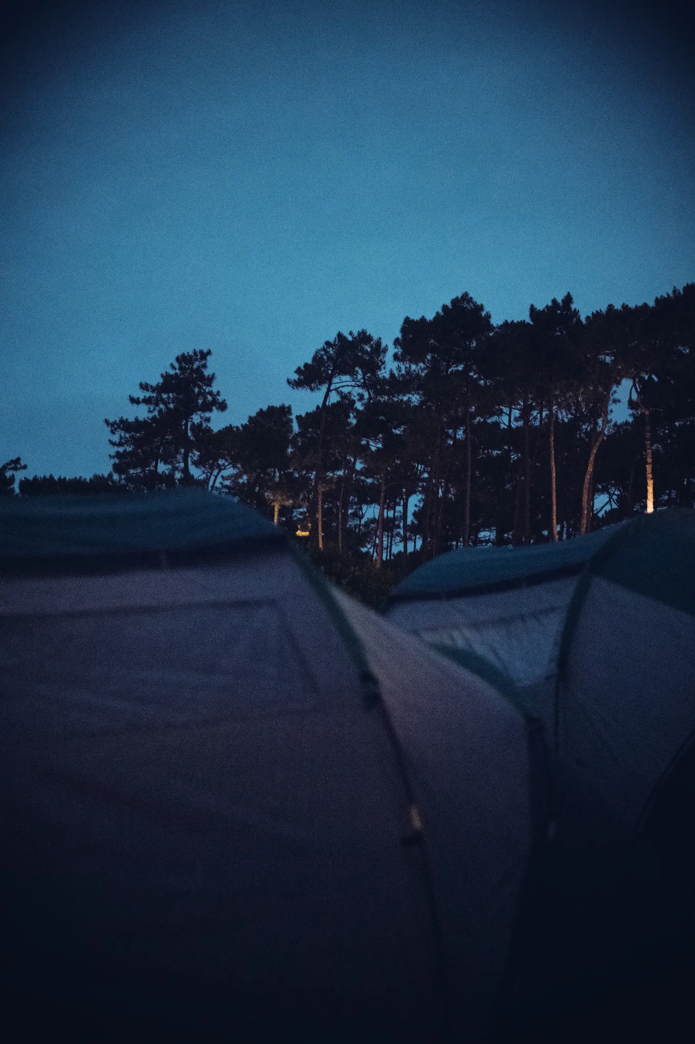 feed — Foto von Augustin Anders