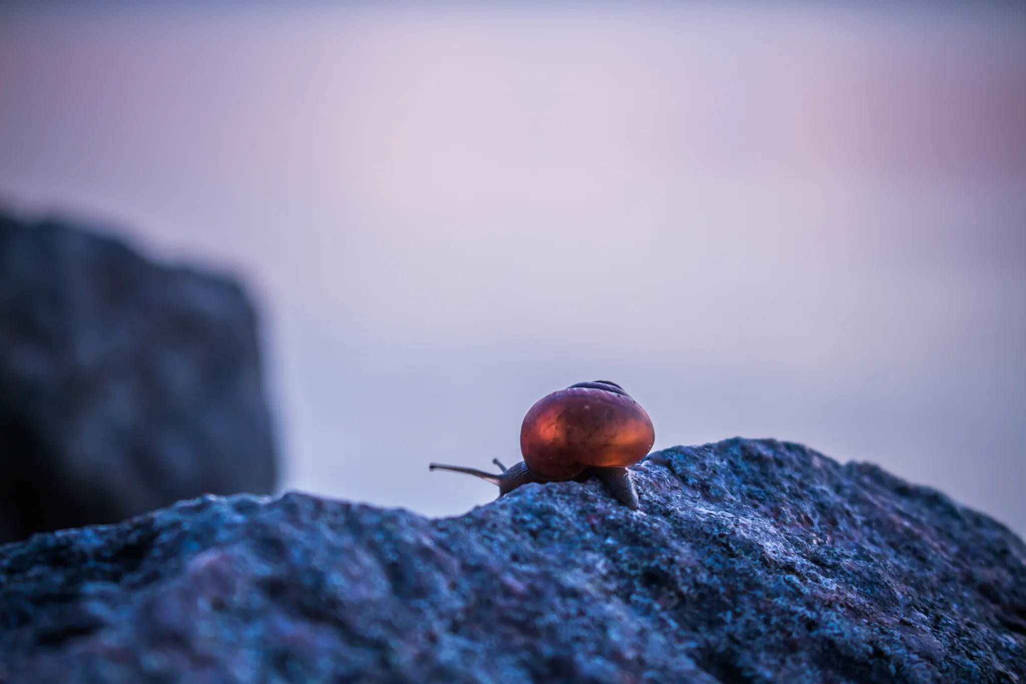 feed — Foto von Augustin Anders
