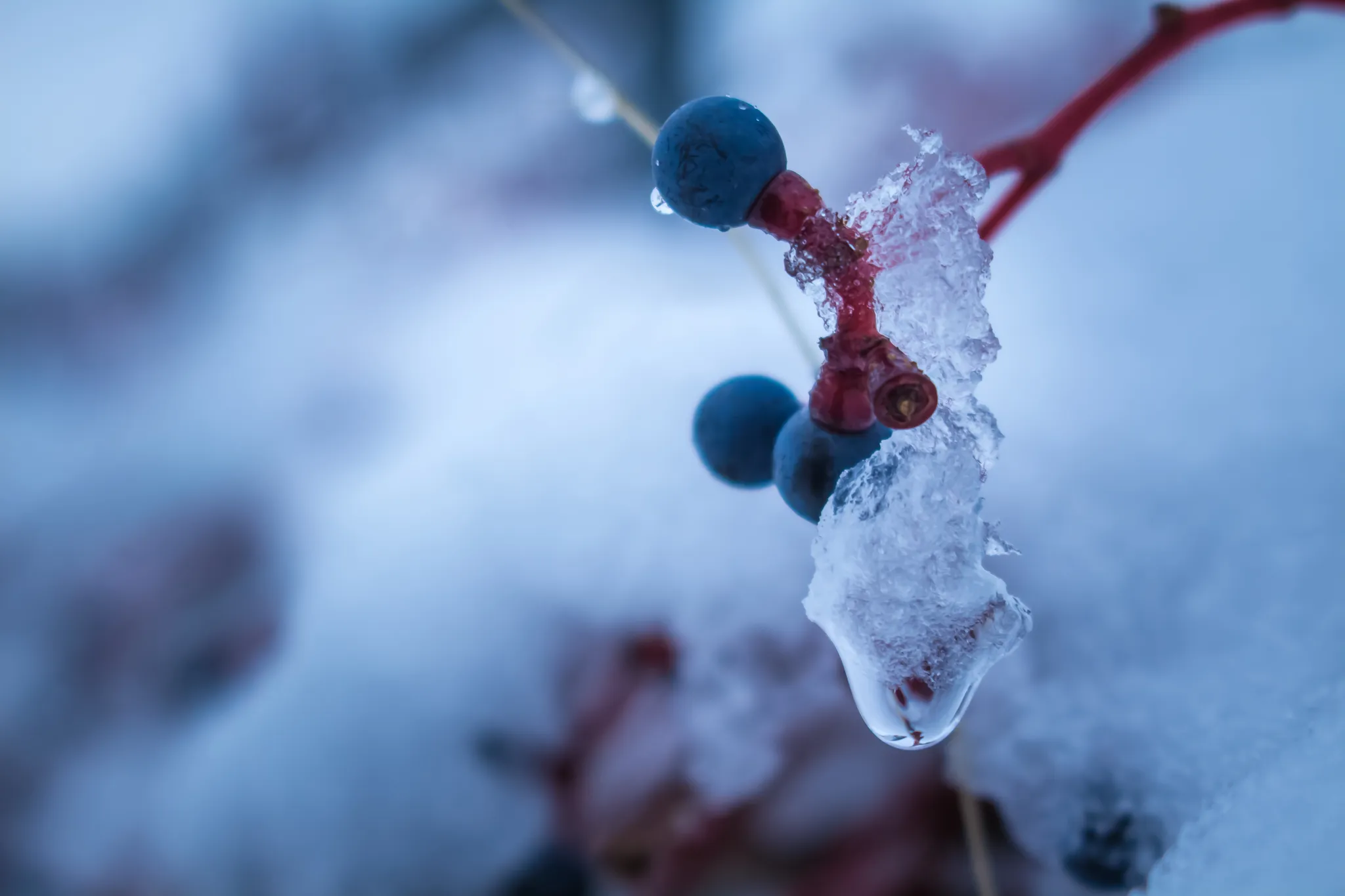 feed — Foto von Augustin Anders